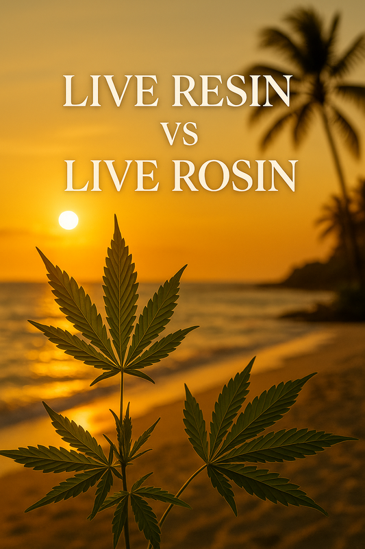 🧪 Live Resin vs Live Rosin: What’s the Real Difference?